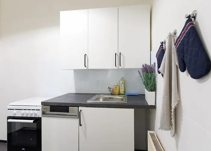 #livelikealocal Prater Danube Canal Center Apartment Wien